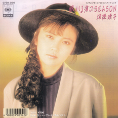 眠れる渚のSEASON