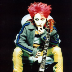 Hide