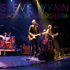 Steve Wynn and the Dragon Bridge Orchestra