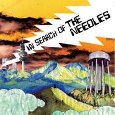 In Search Of The Needles