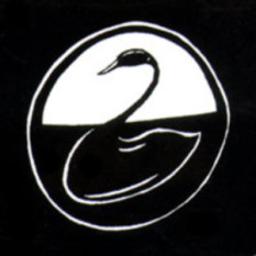 Black Swan Network