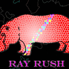 Ray Rush