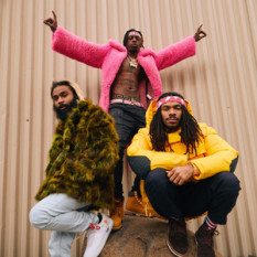 Flatbush ZOMBiES