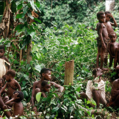 Baka Forest People