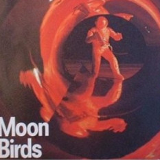 Moon Birds