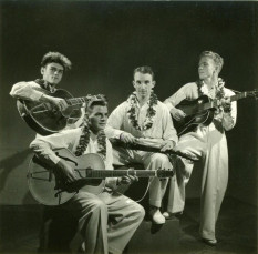 Hula Hawaiian Quartett