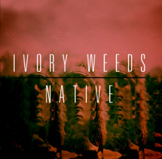 Ivory Weeds