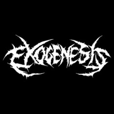 Exogenesis