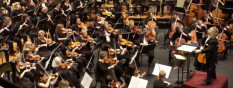 New Philharmonic Orchestra