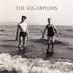 The Sugarplums