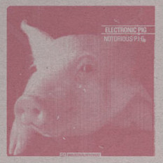 Electronic Pig