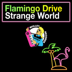 Flamingo Drive