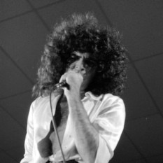 Gino Vannelli