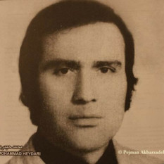 Mohamad Heydari