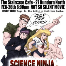 Science Ninja Big Ten