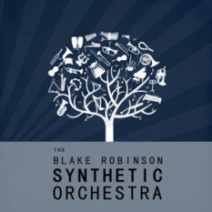 The Blake Robinson Synthetic Orchestra