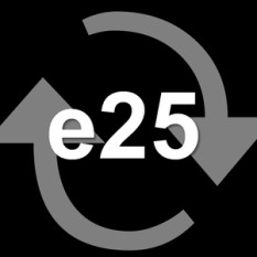 Concept e25