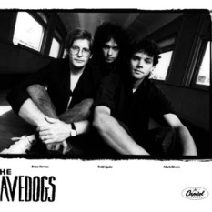 The Cavedogs