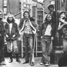 King Harvest