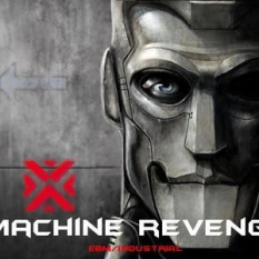 Machine Revenge
