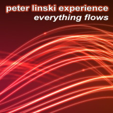 Peter Linski Experience