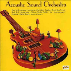 Acoustic Sound Orchestra