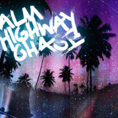 Palm Highway Chase