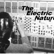 The Electric Nature