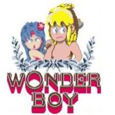 The Wonderboy