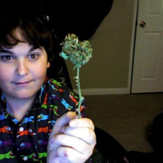 Andy Milonakis