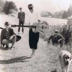 The Pale Fountains