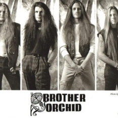 Brother Orchid