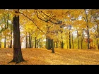 The Beauty Of Autumn. Music - Eugen Doga