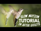 TimeWarp Tutorial  | Slow Motion Footage in After Effects