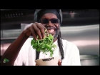 Macka B - Lyrical Chef [Official Music Video] (Kingston Express)