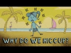 Why do we hiccup? - John Cameron