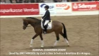 DMJ HORSES presents ★ RESERVE CHAMPION ZOOM by Zack x Don Schufro