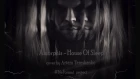Amorphis - House Of Sleep_cover by Artem Tereshenko_(#NeFormat project)