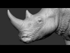 Rhino sculpting time lapse in Zbrush / Скульптинг носорога в ZBrush