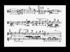 Toshio Hosokawa - Vertical songs I. for flute solo (or recorder)