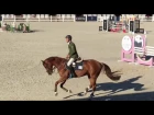 Соревнования в Equides club | Николай Петров и его партнёр Виктория | Всеукраинское конное общество
