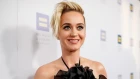 Watch Katy Perry Split Her Pants and Flash the 'American Idol' Audience
