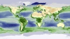 Animation: Yearly biosphere cycle shows earth 'breathing'