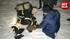 На пожаре в Туле спасли семь человек и кошку