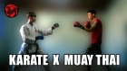 Тайский Бокс против Каратэ - отстойное видео отстойного видеоблогера