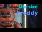 Life size Freddy fazbear review
