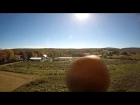 Stupidest Drone Crash Ever (w/pumpkin) - I'm a moron