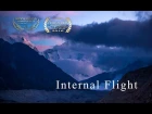 Internal Flight -  Estas Tonne Trailer 2016