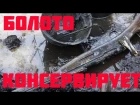 Нашли оружие и солдат в болоте прямо под Льдом! Found weapons in the the swamp right under the ice!