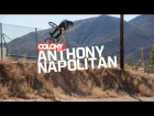 Anthony Napolitan - Colony BMX // insidebmx